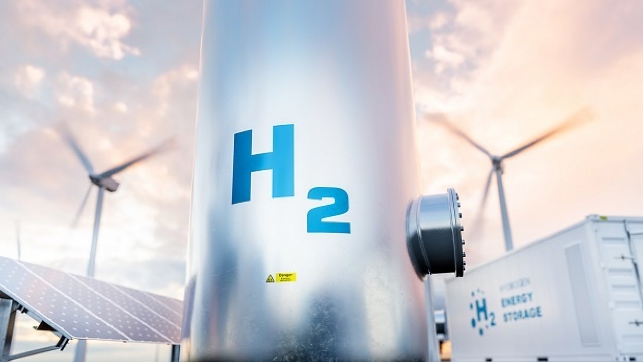 Role of Women in Hydrogen and Renewable Energy in the ... Image 1